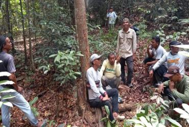 TIM GABUNGAN BALAI BESAR KSDA RIAU MITIGASI KONFLIK GAJAH DI DESA BUKIT KESUMA PANGKALAN KURAS PELALAWAN