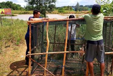 TIM BALAI BESAR KSDA RIAU SKW II BATAM RESPON LAPORAN WARGA TERKAIT KEMUNCULAN BUAYA SEKALIGUS LEPAS LIARKAN PENYU