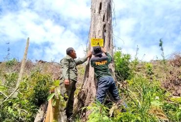 PATROLI PENCEGAHAN KEBAKARAN HUTAN DI SM BUKIT RIMBANG BUKIT BALING