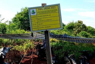 TIM BALAI BESAR KSDA RIAU DAMPINGI TIM RESTORASI GAMBUT DI SM KERUMUTAN