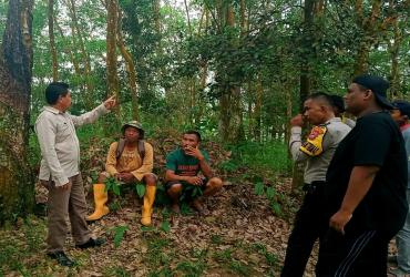 LAPORAN MASYARAKAT TENTANG PERJUMPAAN SATWA YANG DIDUGA HARIMAU SUMATERA