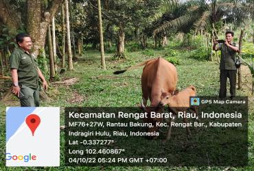 PANTAU KEMAJUAN KTH USAHA BERSAMA DESA SUNGAI GUNTUNG