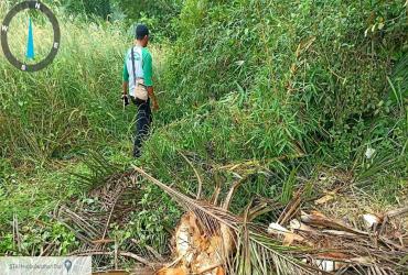 PENGECEKAN AKTIVITAS GAJAH SUMATERA YANG MASUK DI PEMUKIMAN WARGA