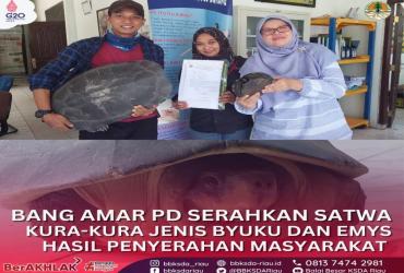AMAR PD PECINTA HEWAN SERAHKAN SATWA DILINDUNGI KE BALAI BESAR KSDA RIAU