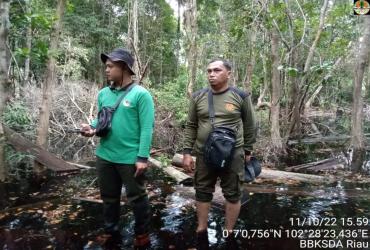 AMANKAN SM KERUMUTAN DENGAN BERPATROLI RUTIN