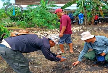MITIGASI INTERAKSI NEGATIF MANUSIA DAN HARIMAU SUMATERA DI DESA TELUK LANUS