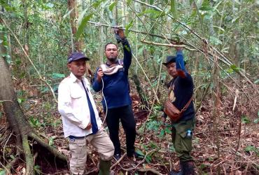 PATROLI PENGAMANAN KAWASAN SM KERUMUTAN DENGAN KEGIATAN SAPU JERAT