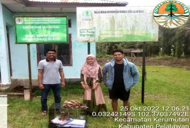 SEEKOR MACAN AKAR DISERAHKAN WARGA KE RESORT KERUMUTAN UTARA DENGAN SUKARELA
