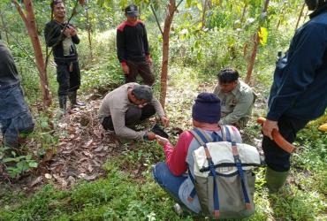 TIM GABUNGAN DARI BALAI BESAR KSDA RIAU LAKUKAN OPERASI SAPU JERAT