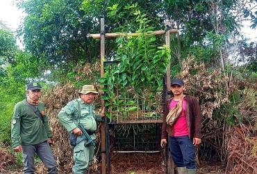 MITIGASI INTERAKSI NEGATIF MANUSIA DAN HARIMAU SUMATERA DI KAMPUNG TELUK LANUS, KABUPATEN SIAK