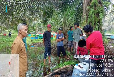 RESORT SIAK BALAI BESAR KSDA RIAU PANTAU PERKEMBANGAN BUDIDAYA LEBAH MADU KTH