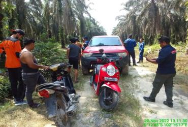 MONITORING KEMUNCULAN HARIMAU SUMATERA
