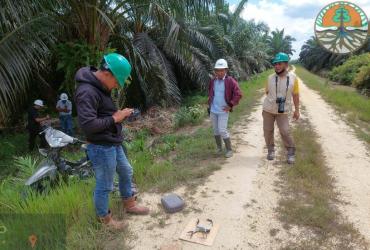 MONITORING KEMUNCULAN HARIMAU SUMATERA DI AREAL LINDUNG PT INECDA
