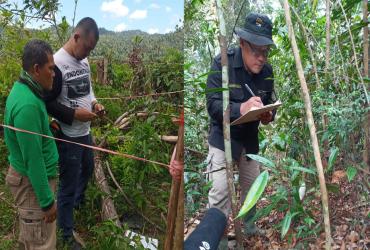 PEMULIHAN EKOSISTEM MEKANISME SUKSESI ALAM DI SM BUKIT RIMBANG BUKIT BALING